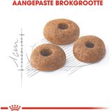 Royal Canin Fit - Kattenvoer Brokjes - 10 kg