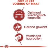 Royal Canin Fit - Kattenvoer Brokjes - 10 kg