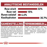 Royal Canin Fit - Kattenvoer Brokjes - 10 kg