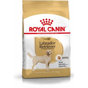 2 x 12 kg Royal Canin Adult Labrador Retriever hondenvoer