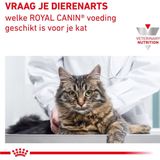 Royal Canin Veterinary Feline Renal Special - 2 kg