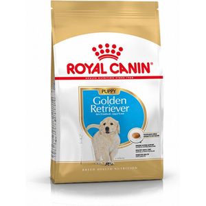 Essen, Royal Canin Golden Retriever Welpen (Junior) Welpen (bis zu 15 Monate) - 12 kg