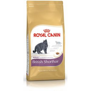 Royal Canin British Shorthair Adult - Kattenvoer - 4 kg