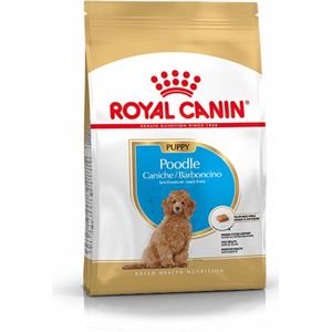 Royal Canin Poodle - Puppy-Hondenvoer - 3 kg