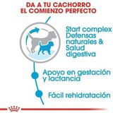 Royal Canin Mini Starter Mother & Babydog 1kg