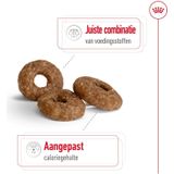 Royal Canin Mini Ageing 12+ - 1,5 kg