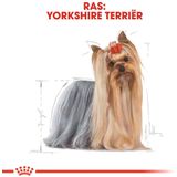 Royal Canin Yorkshire Terrier Adult - 3 kg