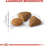 Royal Canin Savour Exigent Sensation 35/30 - Kattenvoer - 10+2 kg Bonusbag