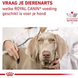 Royal Canin Veterinary Diet Renal Special Hondenvoer 2 kg