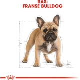 Royal Canin French Bulldog Adult - 9 kg