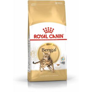 Royal Canin Bengal Adult - Kattenvoer - 10 kg