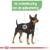 Royal Canin Mini Digestive Care - 3 kg