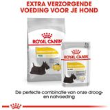 Royal Canin Ccn Dermacomfort Mini - Hondenvoer - 8 kg