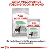 Royal Canin Ccn Digestive Care Mini - Hondenvoer - 8 kg