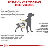 Royal Canin Veterinary Diet Urinary S/O - Hondenvoer - 13 kg