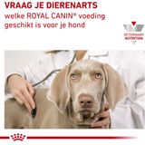 Royal Canin Veterinary Diet Urinary S/O - Hondenvoer - 13 kg