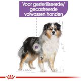 Royal Canin Sterilised Medium - Hondenvoer - 12 kg