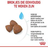 ROYAL CANIN Medium Starter Mother & Babydog Droog hondenvoer Gevogelte 15 kg