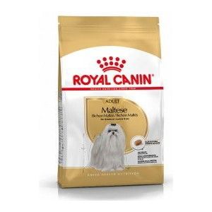 Royal Canin Adult Maltezer hondenvoer