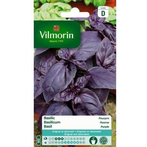 Basilicum paarse - Ocimum basilicum