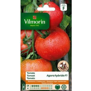 Vilmorin- Tomaat San Marzano 2- V780