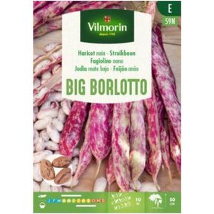 Vilmorin struikboon Big Borlotto