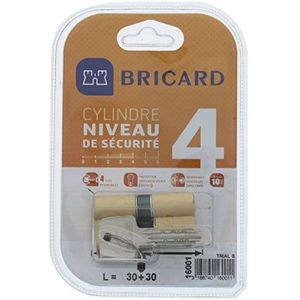 BRICARD 16001 cilinder Trial S 30 + 30 messing geel, dubbele ingang, veiligheidsniveau 4, draaisleutel, weerstand/kleine letters en torsiestijf. Resistance in boren, lockpicking en messing