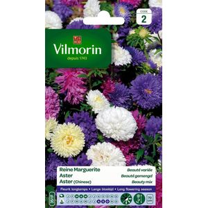Vilmorin - Aster - Beauty Mix -V351