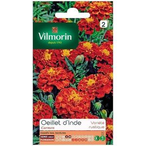 Vilmorin 5441142 oogje, rood, 90 x 2 x 160 cm