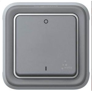Legrand 069530 Schakelaar 2-polig, waterdicht, Plexo Composable IP55, 10 AX, 250 V, grijs