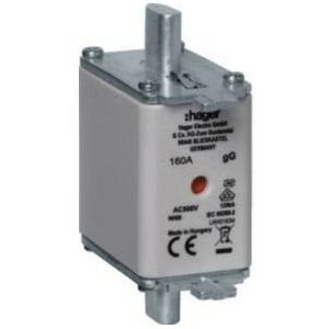 Hager Mespatroon NH00 160A 500V gG combimelder