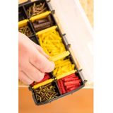 Stanley - Assortimentsdoos - 10 Compartimenten - Transparant - Kunststof