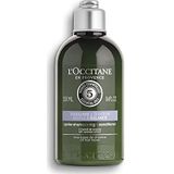 L'OCCITANE - Aromachologie Balance & Softness Conditioner - Normaal haar - 250ML