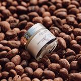 L'Occitane Shea Butter Light Comforting Cream 50 ml