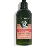 Herstellende Shampoo L´occitane (300 ml)