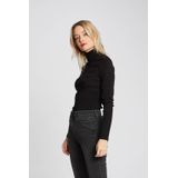 Coltrui - Rolkraag - Lange Mouwen - Zwart - 80% Viscose, 20% Polyamide