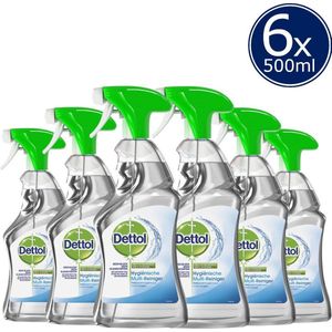 dettol 6x multi reiniger spray