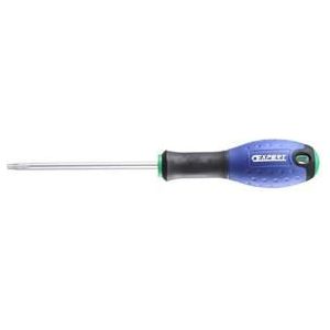 Expert Schroevendraaier Torx TX10 75mm lang