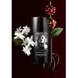 Eisenberg - J'ose - Deodorant Stick - 75 ml