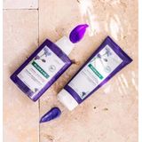 Klorane Haar Centaurée Anti-Yellow Shampoo Wit/Grijs Haar 200ml