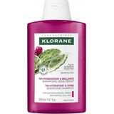 Klorane - Hydration & Shine - Quenching Shampoo - Cactusvijg - 200 ml