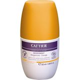 CATTIER Citrus Frisheid Roll-On Deodorant Bergamot - Sinaasappel 50 Roller