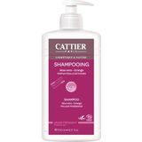 CATTIER Aloë Vera en Sinaasappelshampoo 500 Shampoo