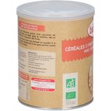 Babybio Biologische 3 Vruchtengranen met Quinoa – Babyvoeding - Babygranen vanaf 6 Maanden 220 Poeder