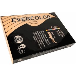 Clairefontaine - Evercolor - Gekleurd Gerecycled Papier - Zalm - A3, 80 g/m², 500 Vel
