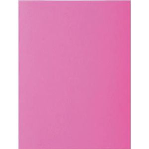 Exacompta - ref. 217120E - Set van 10 felgekleurde dossiermappen - ROCK''S - 210 g/m2 - in PEFC™ gecertificeerde mappen - Afmetingen: 24 x 32 cm Formaat A4 - kleur Roze