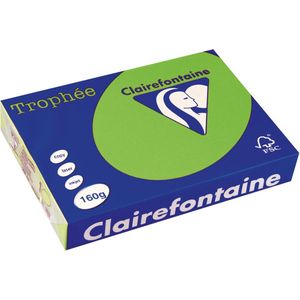 Clairefontaine - Trophée - Gekleurd Papier - Grasgroen - 160 g/m²