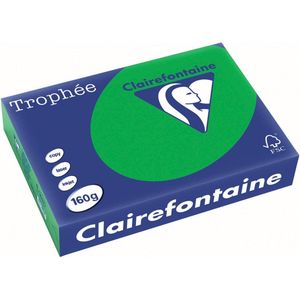 Clairefontaine - Gekleurd Papier - A4 - Groen - 250 Vellen - 160 Grams