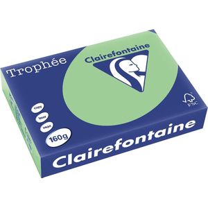 Clairefontaine - Natuurgroen - Gekleurd Papier - A4 - 160 g/m² - 250 Vellen