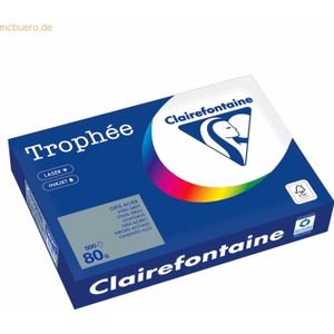 Clairefontaine - Trophée Gekleurd Papier - A4 - Lichtgrijs - 80 g/m² - Pak 500 Vel